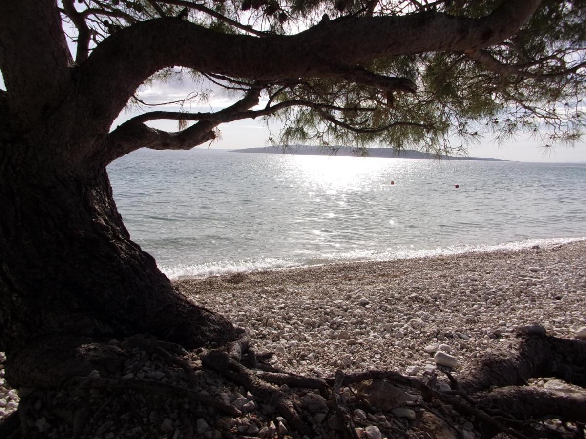 Pura Vida Makarska Daire Dış mekan fotoğraf